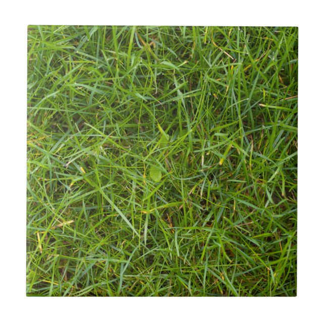 Grünes Gras-Muster-Fliese Fliese (Vorderseite)