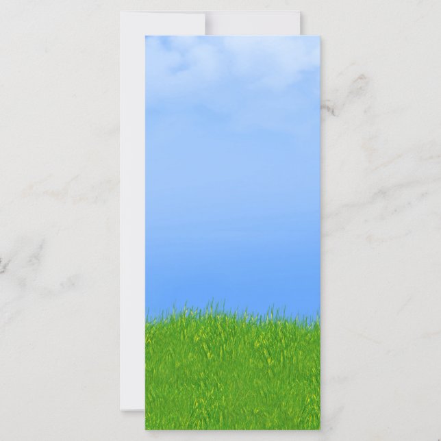 Grünes Gras und blauer Himmel Hintergrund (Vorderseite)