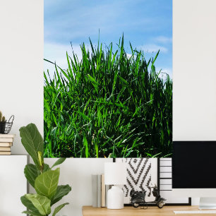 Grünes Gras vor dem Hintergrund des endlosen Poster