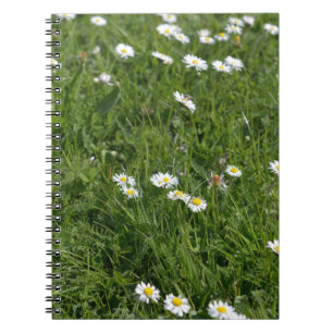 Grünes Grasfeld mit weißen und gelben Blumen Notizblock