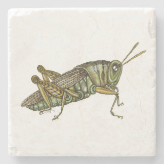 Grünes Grasshopper-Tischset Steinuntersetzer