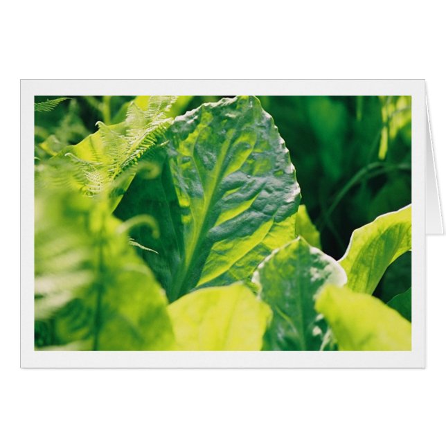 Grünes Leaf (Vorderseite (Horizontal))