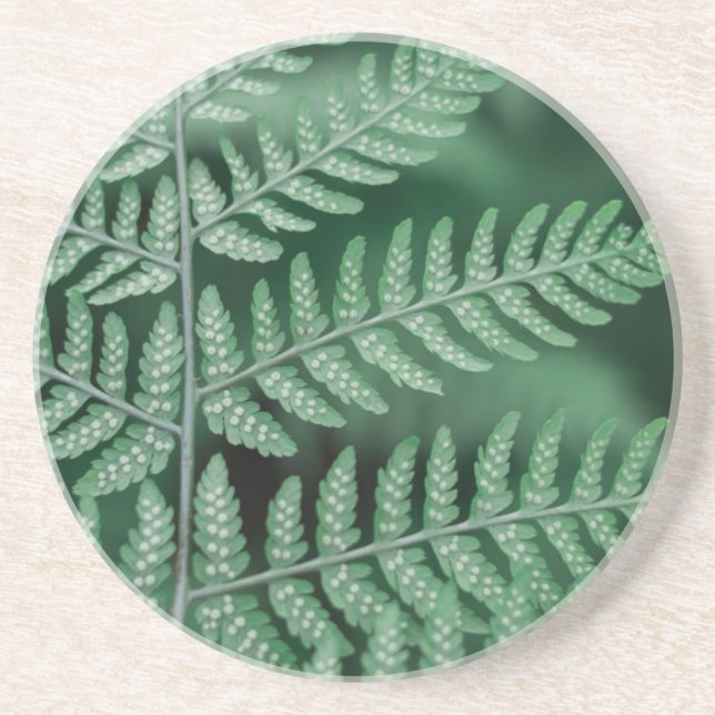 Grünes Leaf Fokussiertes Foto Getränkeuntersetzer (Vorne)