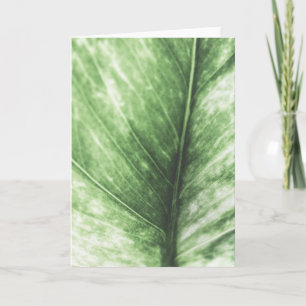 Grünes Leaf-Foto Karte