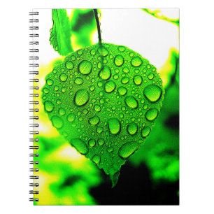 Grünes Leaf Notizblock