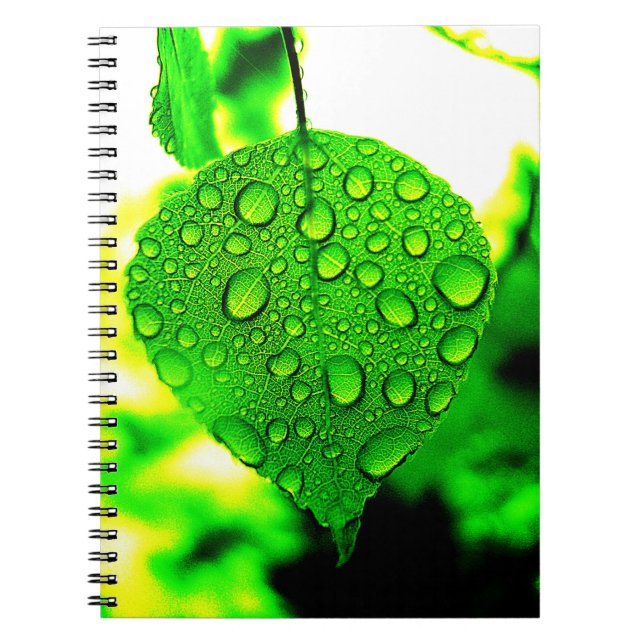 Grünes Leaf Notizblock (Vorderseite)