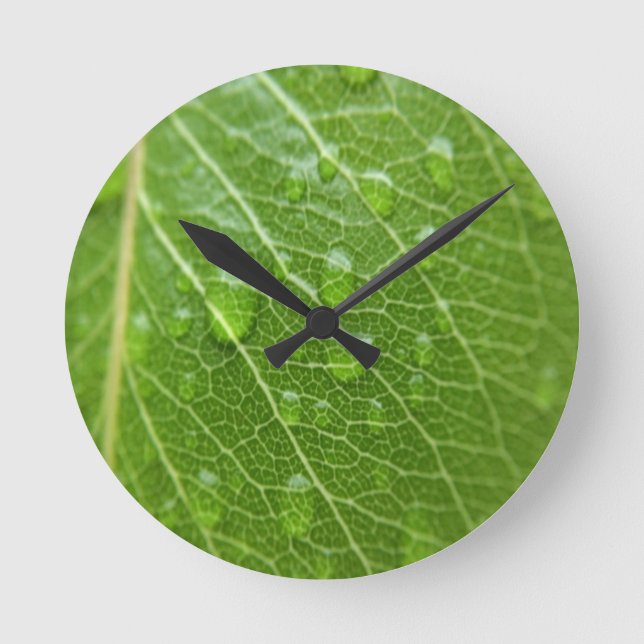 Grünes Leaf Runde Wanduhr (Vorderseite)