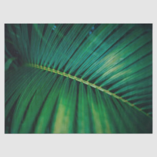 Grünes Leaf Tropenwald Foto Seidenpapier