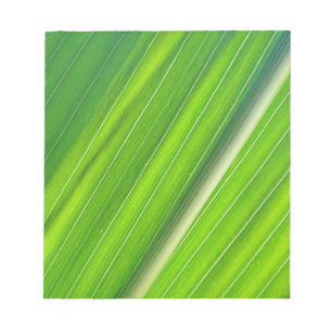 Grünes Maisblattdesign Notizblock