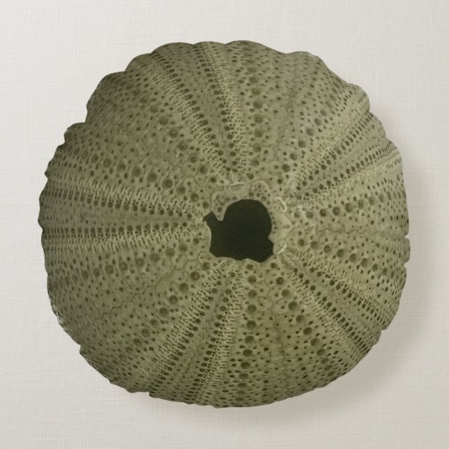 Grünes Meer Urchin-Kissen Rundes Kissen (Vorderseite)
