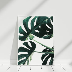 Grünes Monstera Fotografie-Plakat Poster