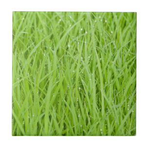 Grünes Nassgras Fliese