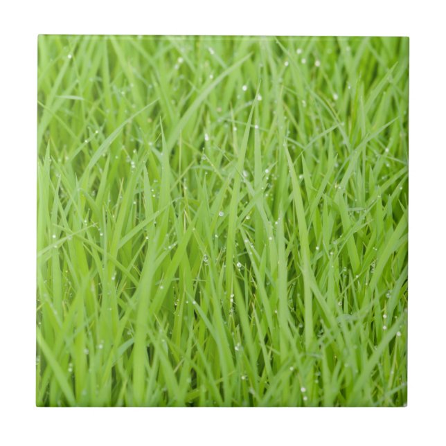 Grünes Nassgras Fliese (Vorderseite)