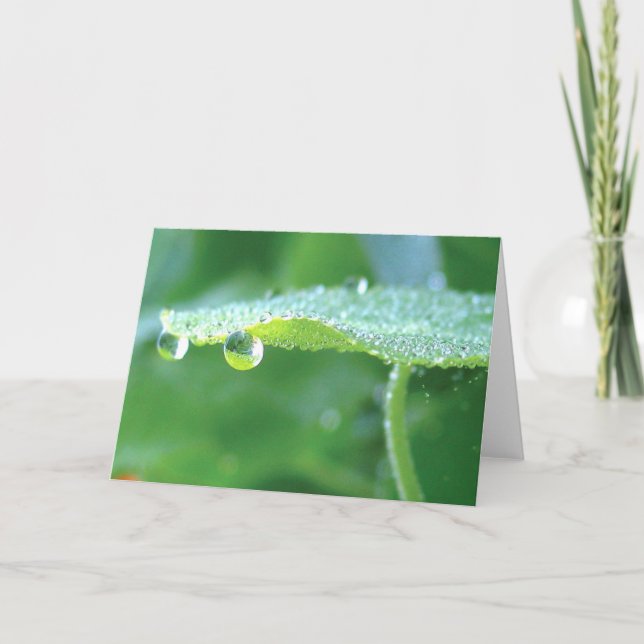 Grünes Nasturtium mit Taube, Gedichte der Natur Karte (Vorderseite)