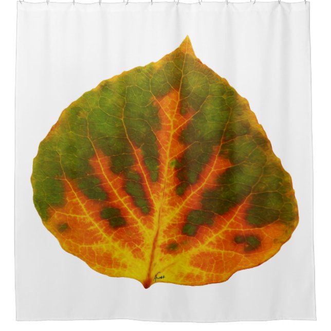 Grünes Orange und gelbes Aspen Leaf #1 Duschvorhang (Vorderseite)