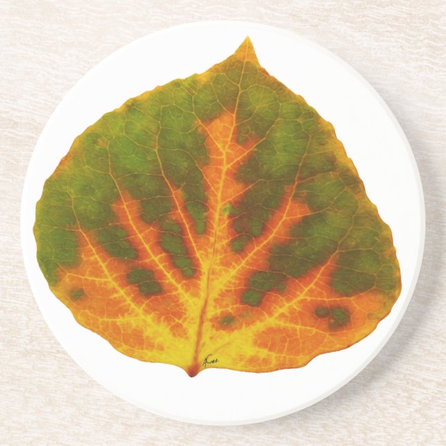 Grünes Orange und gelbes Aspen Leaf #1 Getränkeuntersetzer (Vorne)
