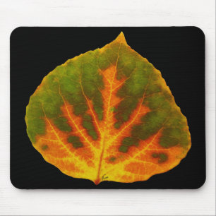 Grünes Orange und gelbes Aspen Leaf #1 Mousepad