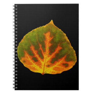 Grünes Orange und gelbes Aspen Leaf #1 Notizblock