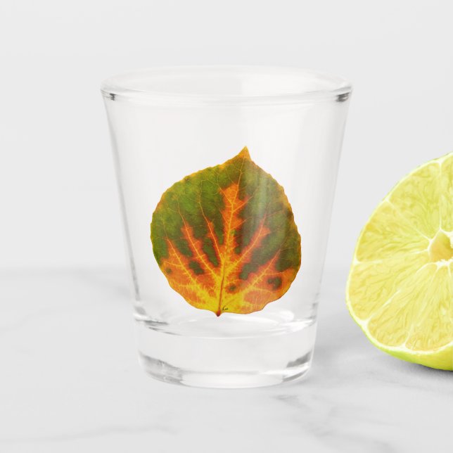 Grünes Orange und gelbes Aspen Leaf #1 Schnapsglas (Vorderseite)