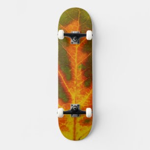 Grünes Orange und gelbes Aspen Leaf #1 Skateboard