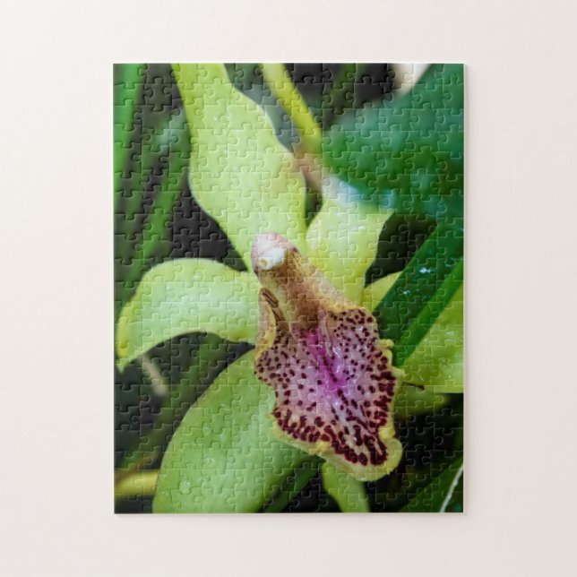 Grünes Orchideen-Puzzlespiel (Vertikal)