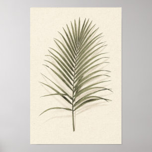 Grünes Palmwedel-Botanikposter Poster