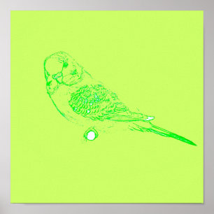 Grünes Parakeet-Plakat Poster