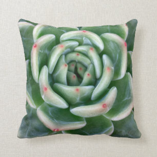 Grünes Rot gespitzter Succulent Kissen