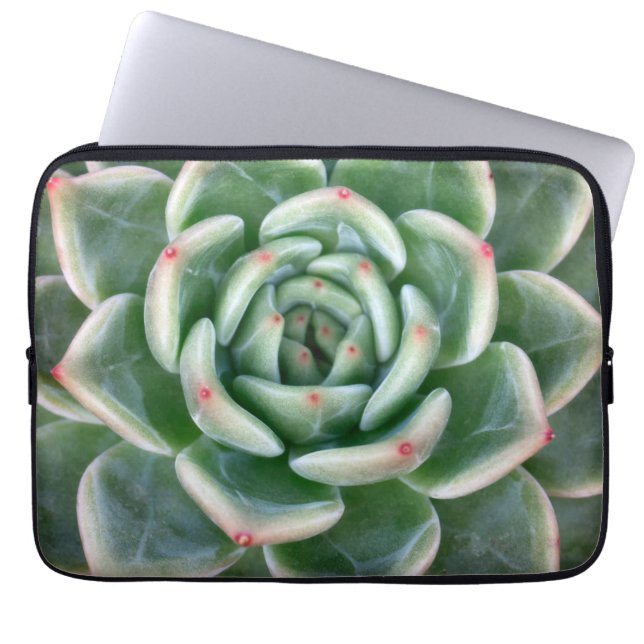 Grünes Rot gespitzter Succulent Laptopschutzhülle (Vorderseite)