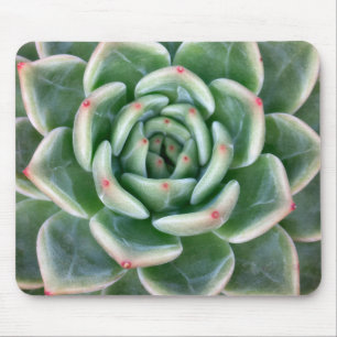 Grünes Rot gespitzter Succulent Mousepad