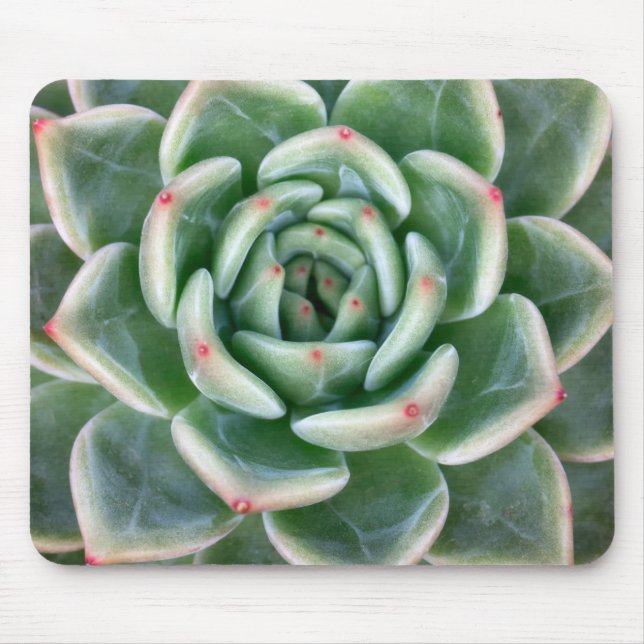 Grünes Rot gespitzter Succulent Mousepad (Vorne)