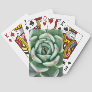 Grünes Rot gespitzter Succulent Spielkarten