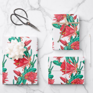 Grünes rotes Kaktusmuster Geschenkpapier Set