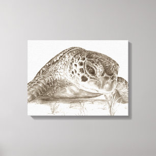 Grünes Seeschildkröte-Zeichnen Leinwanddruck