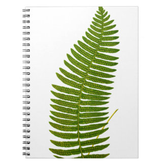 Grünes und gelbes Farn-Blatt-botanische Notizblock