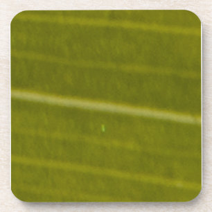 Grünes variiertes Hawaiianisches Leaf Untersetzer