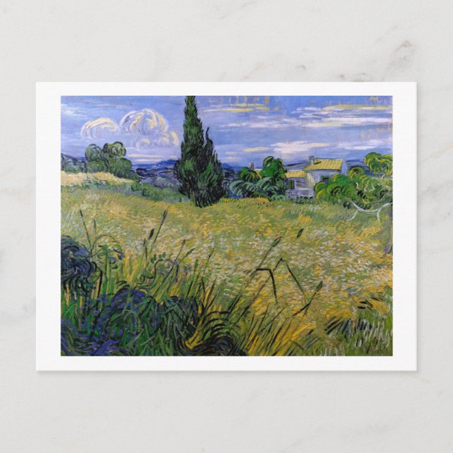 Grünes Weizenfeld mit Cypress von Van Gogh. Postkarte (Vorderseite)