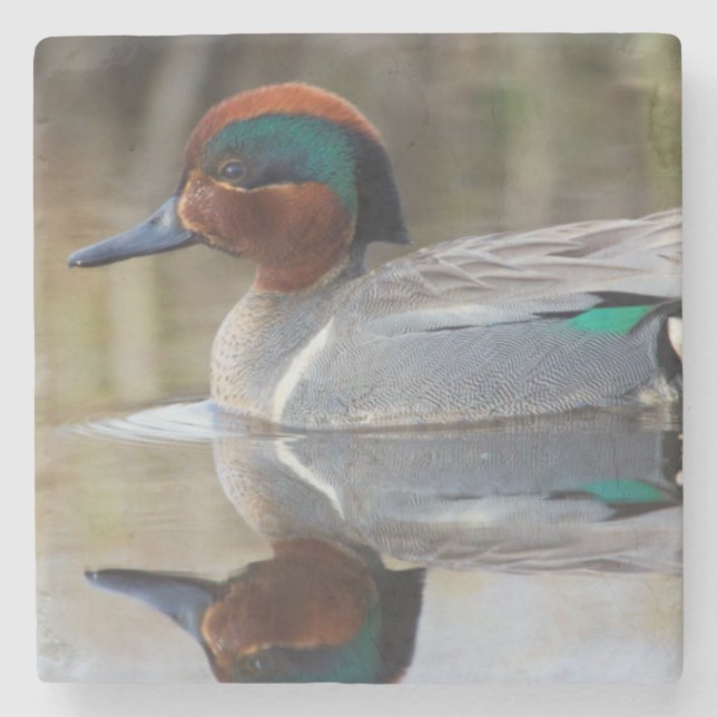 Grünflügelige Aquamarin Steinuntersetzer (Vorderseite)