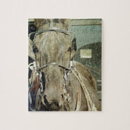 Grunge Amish Buggy Horse