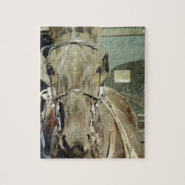Grunge Amish Buggy Horse (Vertikal)