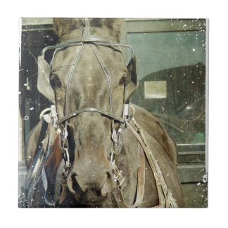 Grunge Amish Buggy Horse Fliese
