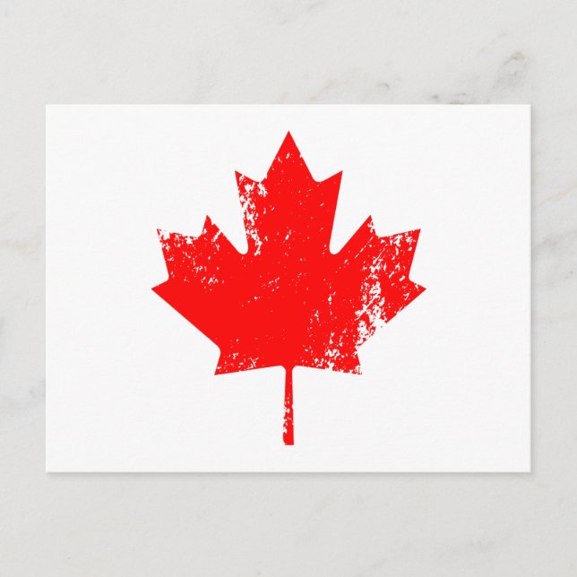 Grunge Canada Flag Maple - Rot verzerrt Postkarte (Vorderseite)