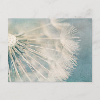 Grunge Dandelion Postkarte