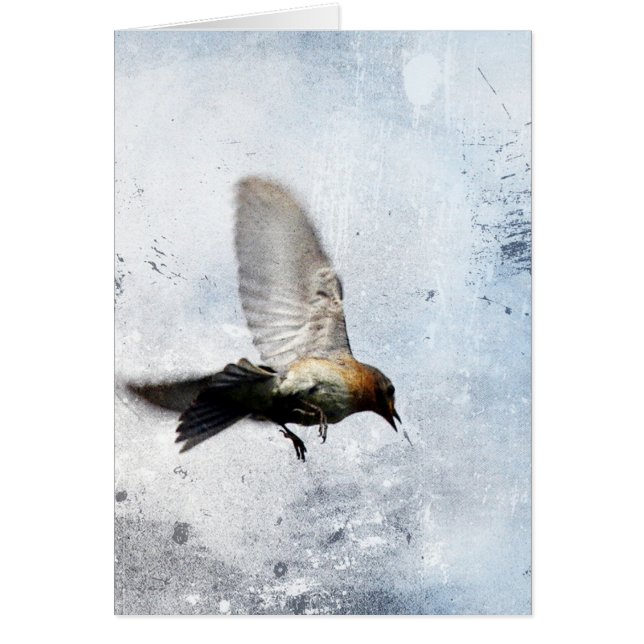 Grunge de Bluebird (Devant)