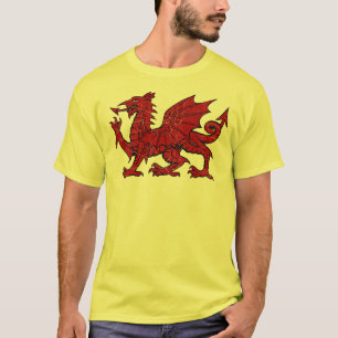 Grunge de dragon de Gallois - T-shirt d'Eco des