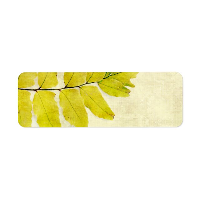 Grunge Design für Fern-Blätter (Vorne)