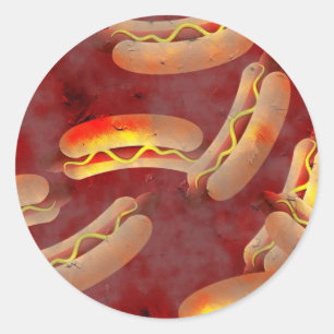 Grunge Hotdogs Runder Aufkleber