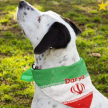 Grunge iranische Iran-Flagge benutzerdefinierter N