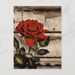 Grunge Not leidendes Barholz Rustikale Rote Rose Postkarte