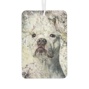 Grunge Pitbull Terrier Autolufterfrischer